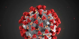 Coronavirus