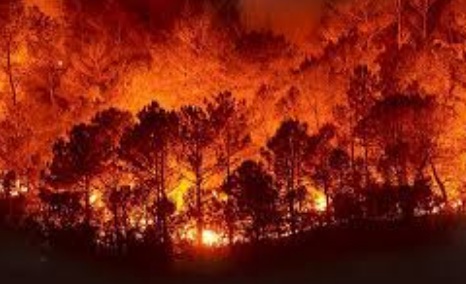incendios