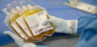Plasma