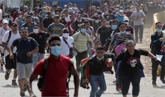 Migrantes