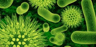 Alemania y Francia piden estar atentos a variante delta del coronavirus