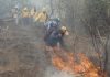 En Tepoztlán consiguen controlar el incendio forestal en un 70 por ciento