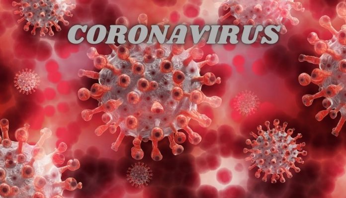 CARA coronavirus