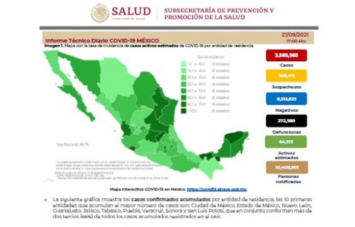 reporte salud