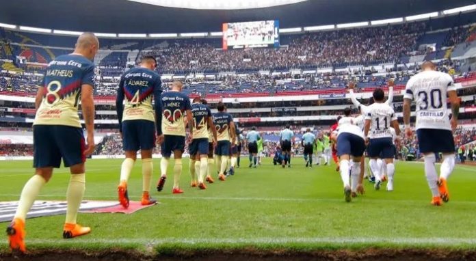 pumas