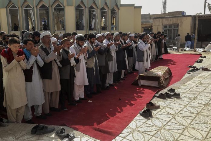 taliban