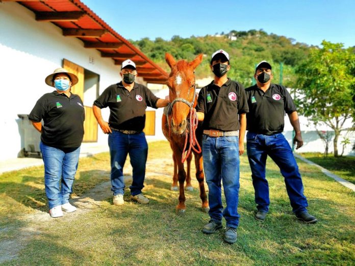 equinoterapia-jiutepec-5