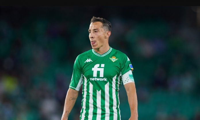 guardado