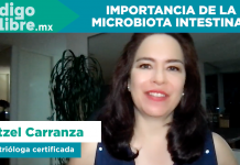 ¿Qué es la microbiota intestinal y por qué debe importarnos?