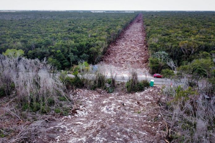 Imágenes de los trabajos del tramo 5 del Tren Maya, en Playa del Carmen, Quintana Roo.