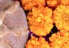Inflación en México encareció la ofrenda de Día de Muertos