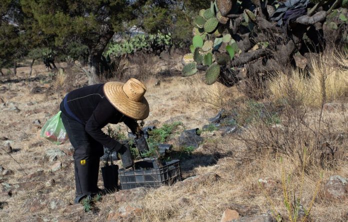 proyectos climaticos