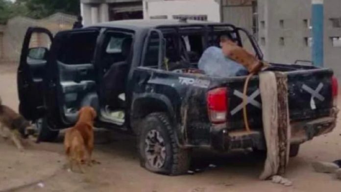Fuerte enfrentamiento en Sonora deja 8 fallecidos y 12 heridos