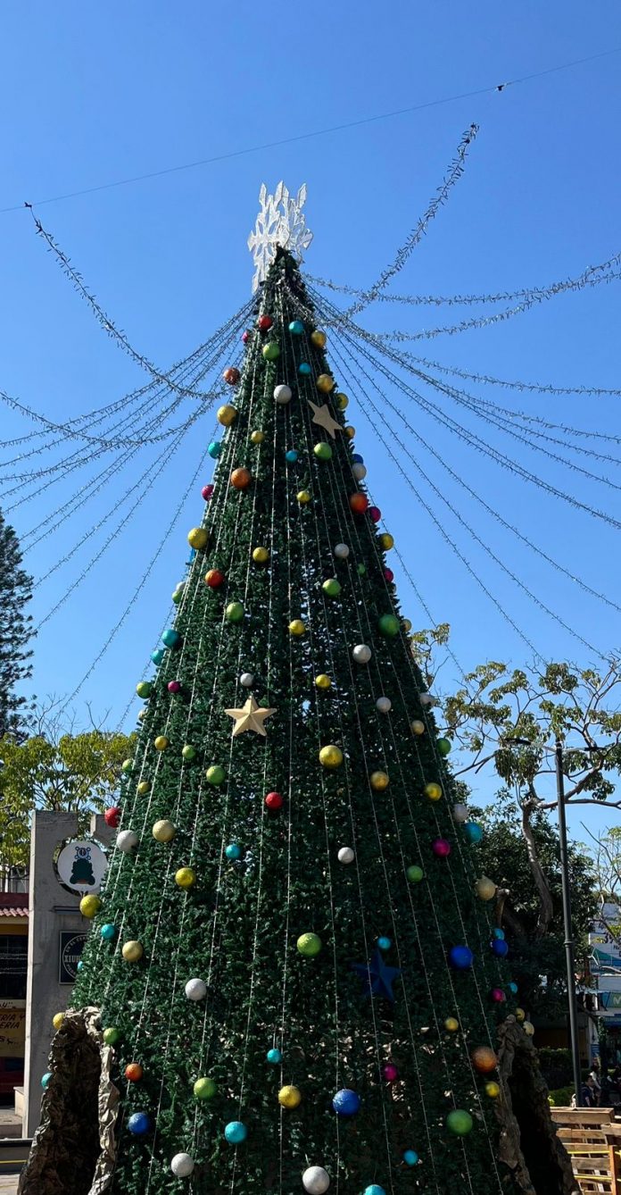encendido-arbol-navidad (2)