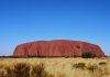 Minera Australiana pierde cápsula altamente radioactiva y pide perdón