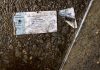Estampida en concierto de rap deja dos mujeres muertas