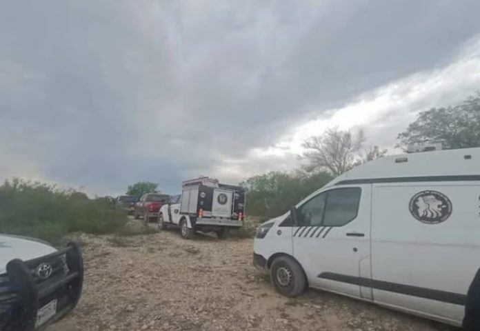 deesaparecidas