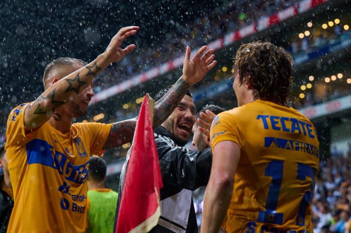 tigres