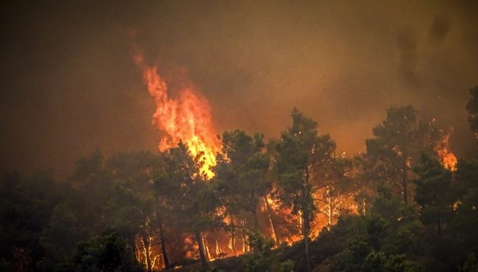 incendio-grecia