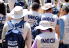 Inegi reporta baja en la pobreza laboral de México: Se sitúa en 30.7% en el inicio de 2026