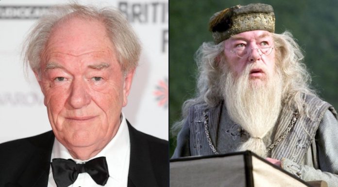 michel gambon