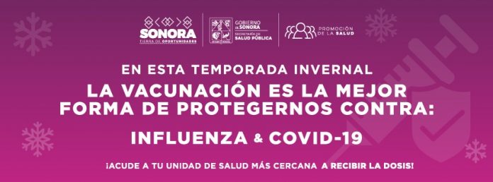 banner salud sonora