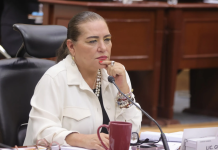 Verificar integridad de candidaturas podría vulnerar neutralidad del INE: Taddei Zavala