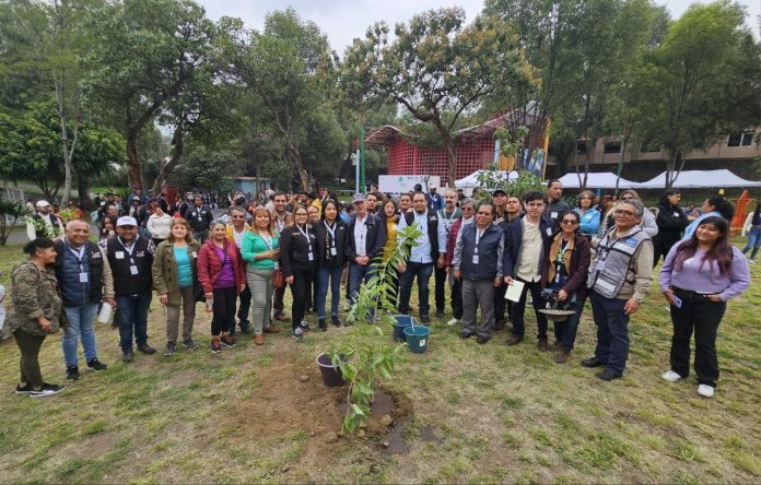 tlalpan-dia-arbol-reconocimiento (1)