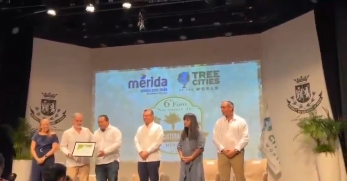 Tlalpan reconocimiento