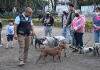 Tlalpan: Logros en bienestar animal y conservación
