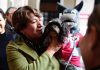 Delfina Gómez impulsa colecta solidaria por el bienestar animal