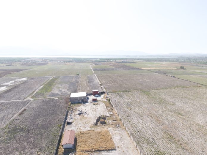 rancho-izaguirre-jalisco-fiscalía-marzo-11-25 (71)