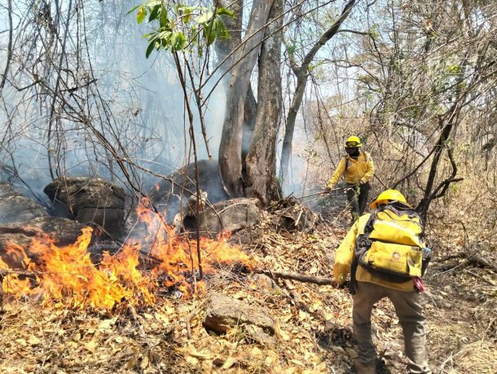 incendios-morelos