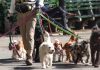 Secretaria de Educación de Tabasco pide a jóvenes tener hijos además de mascotas