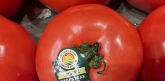 Estados Unidos planea imponer arancel de 21% a tomates frescos de México