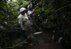 Productores temen pérdidas por arancel al café brasileño