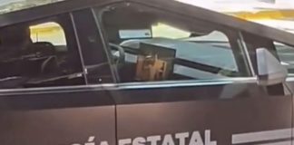 Cachan a policías de Jalisco viendo Netflix en patrulla Cybertruck