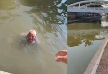 Rescatan a adulto mayor nadando entre cocodrilos en Tamaulipas