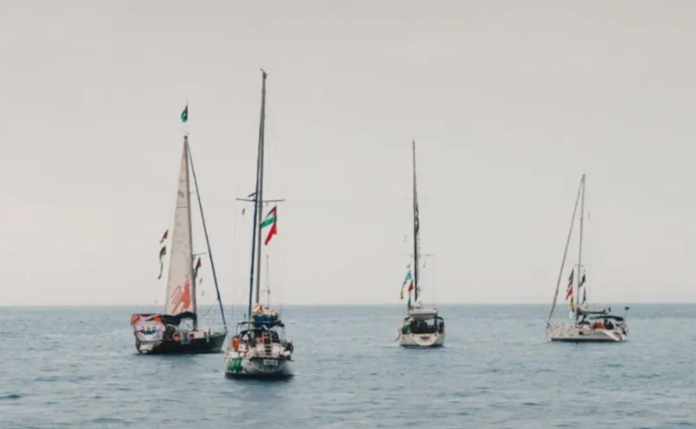 Veleros