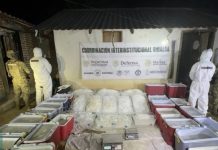 Marina asegura droga y precursores químicos en Sinaloa