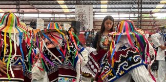Avances del Plan Michoacán