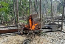 Operativo histórico en el Amazonas: Caen casi 200 por minería ilegal y contrabando de oro