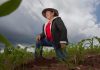 Del laboratorio al ejido: Las mujeres que están revolucionando el agro mexicano