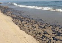 Admisión de Pemex del derrame en Golfo de México es insuficiente: Oceana