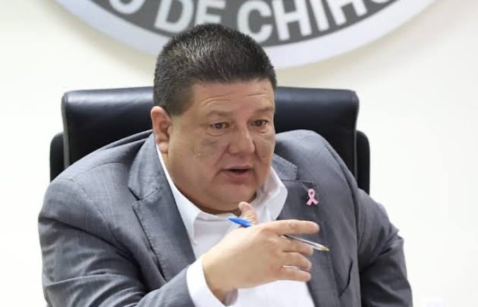 fiscal chihuahua