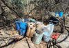 Fuerzas federales desmantelan laboratorio clandestino en Sinaloa
