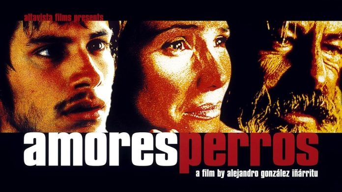 Amores Perros