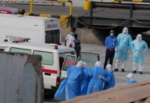 Fallas en protocolos de salud: Pasajeros de crucero con brote de hantavirus regresan a casa