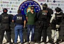 Detienen al presunto asesino de Marco Antonio Suástegui Elementos federales escoltan a Harold N, detenido en Acapulco por el asesinato de Marco Antonio Suástegui líder de CECOP
