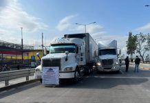 Unidades de transporte de carga estacionadas en la autopista durante las movilizaciones de AMOTAC en México.